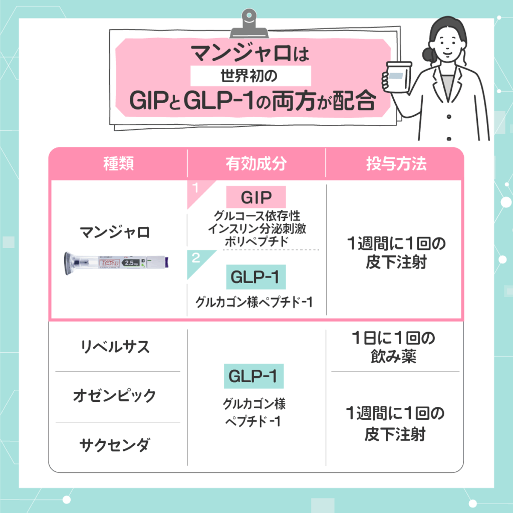 マンジャロはGIP(グルコース依存性インスリン分泌刺激ポリペプチド)・GLP-1(グルカゴン様ペプチド-1)が配合
