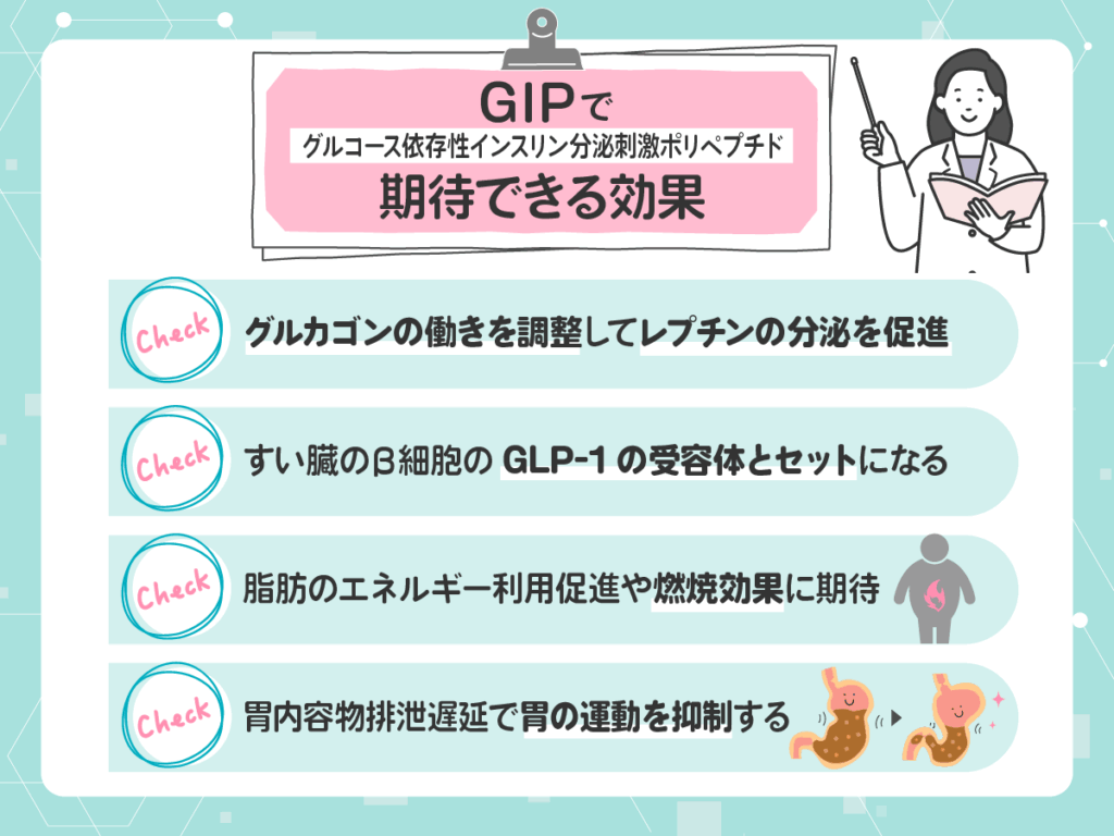 GIP(グルコース依存性インスリン分泌刺激ポリペプチド)